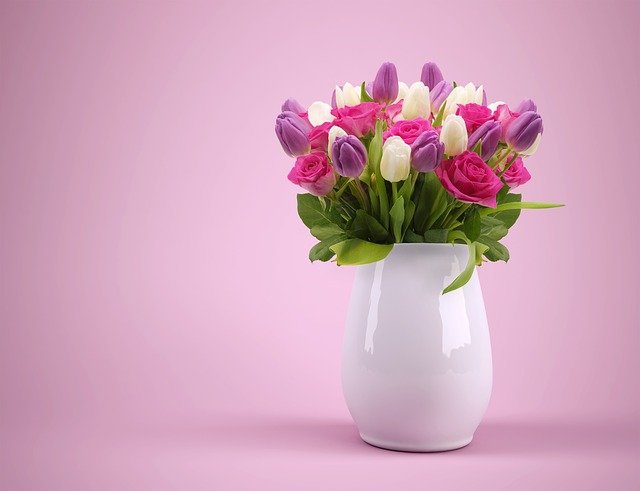 Jak przedłużyć trwałość tulipanów? | Strefa rekomendacji