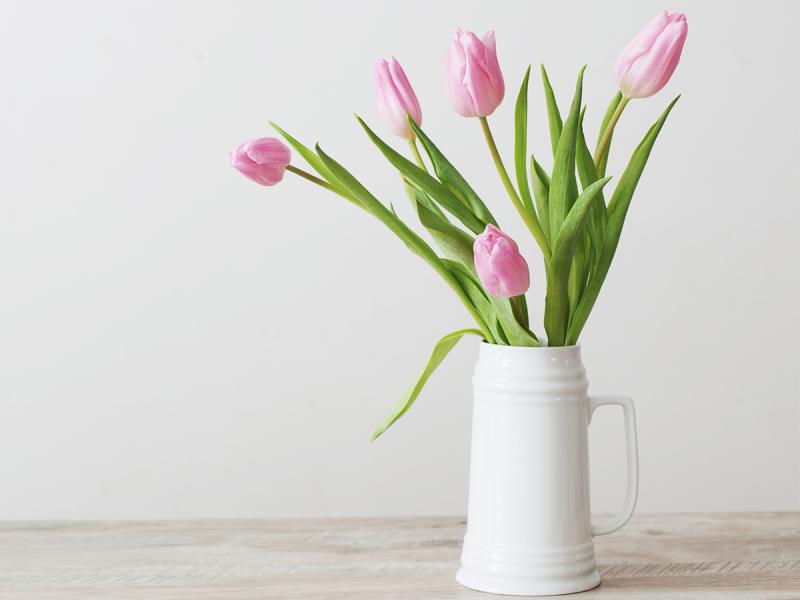 Jak dbać o tulipany w wazonie?