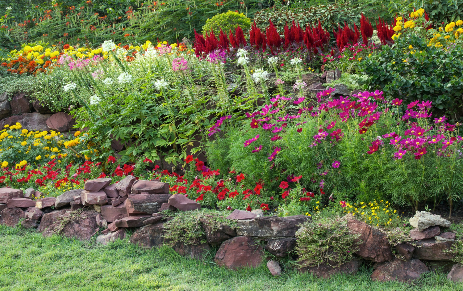 Jak optycznie poszerzyć długi wąski ogród poprzez wykorzystanie roślin kwitnących? 
