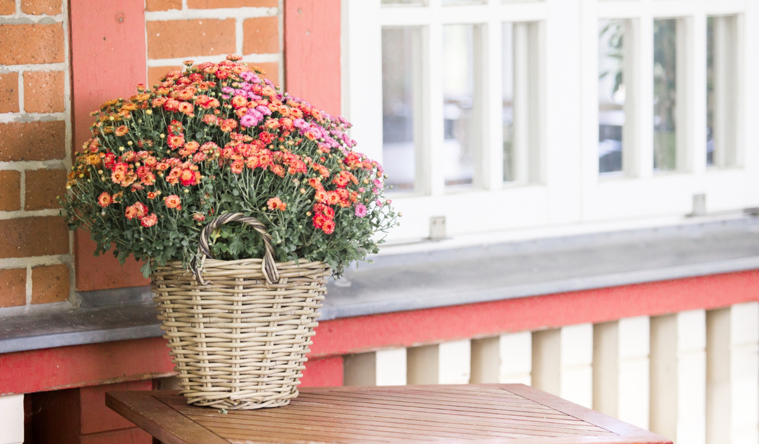 Jakie kwiaty na słoneczny balkon