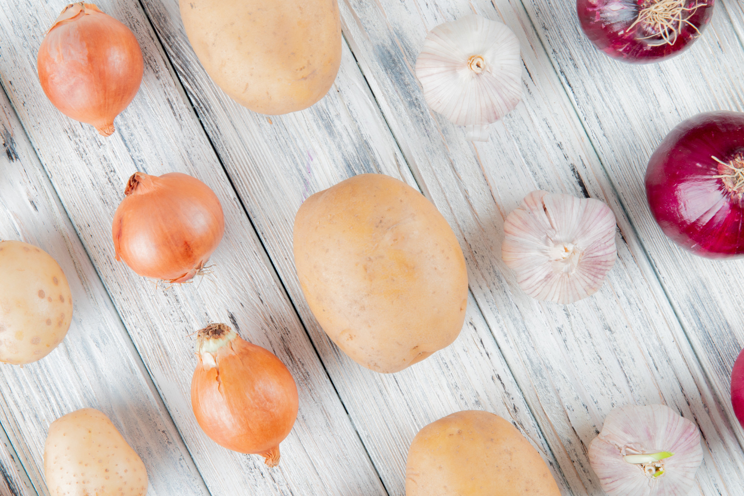 Gatunki mało znane — niezwykłe cebulki, które warto poznać